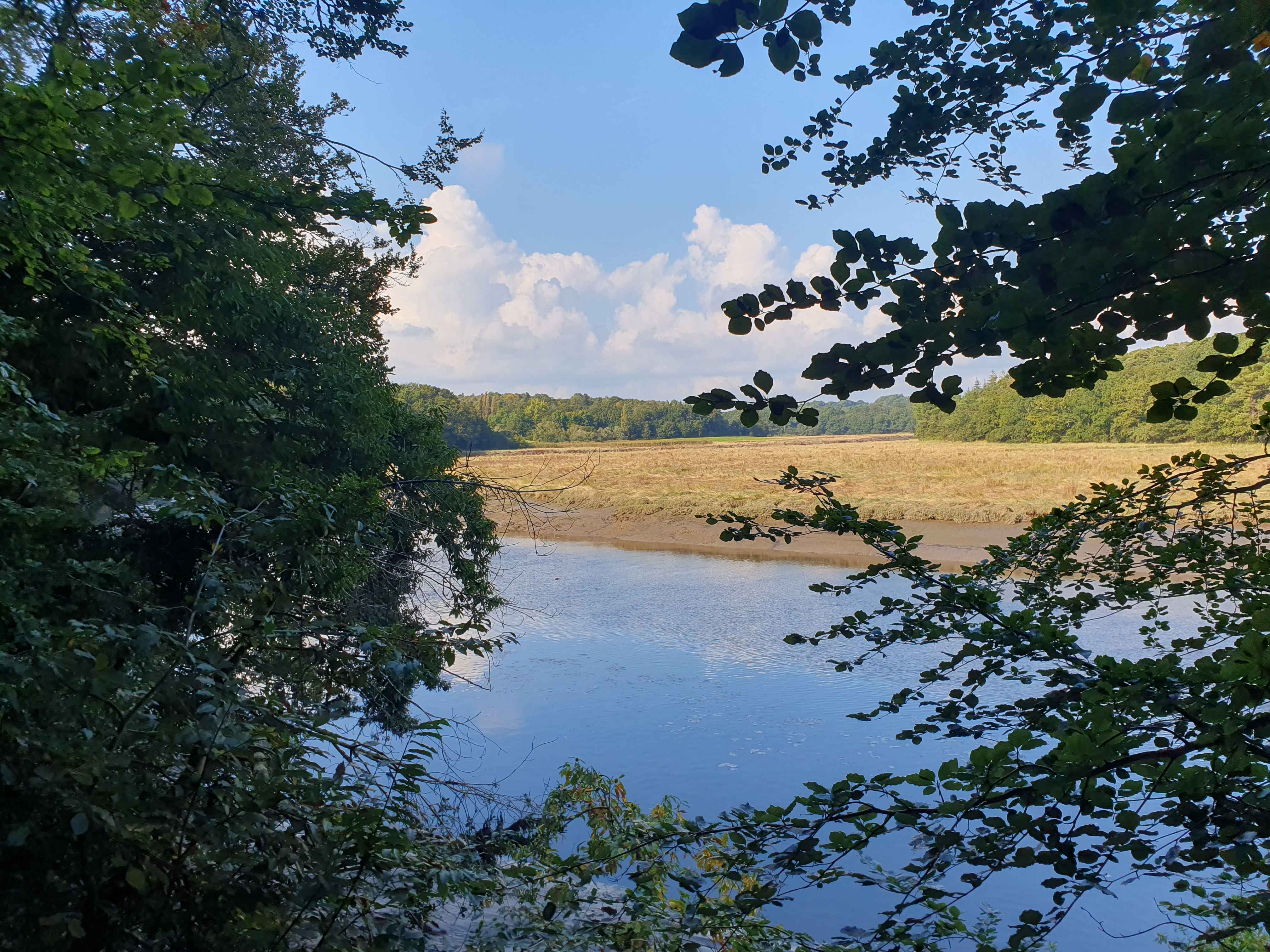 Rivière du Scorff